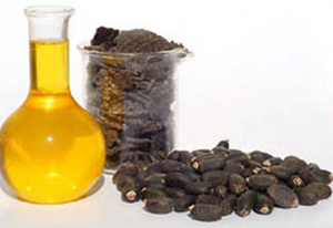 Jetroper Oil