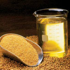 Soybeans Oil
