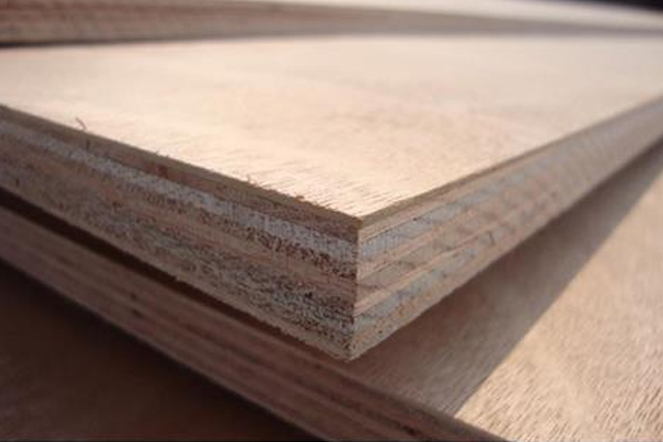 POPLAR PLYWOOD