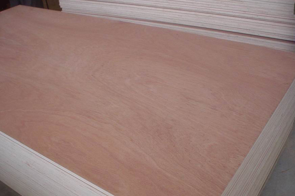 BEECH PLYWOOD