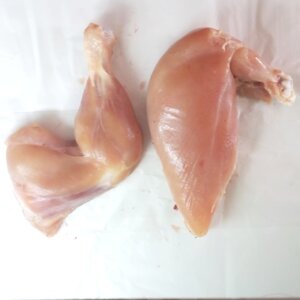Chicken Leg