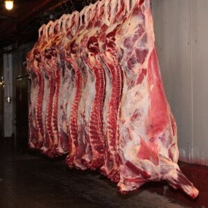 Pork Side EU Cut