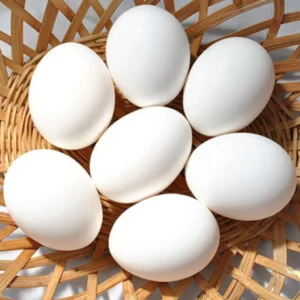Broiler Chicken Eggs
