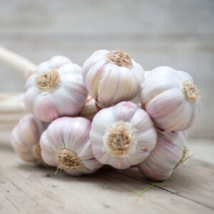 Fresh Garlic