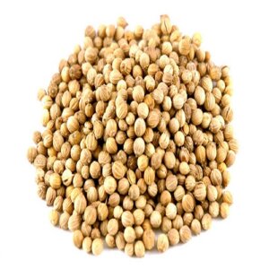 Coriander