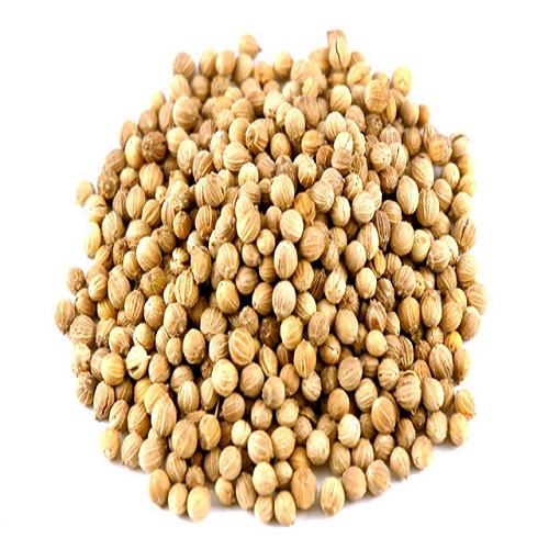 Coriander