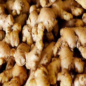 Ginger