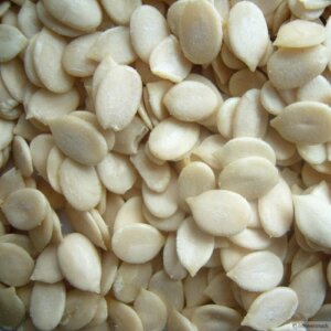 Melon Seeds