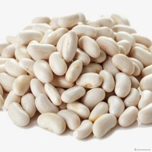 NAVY BEANS