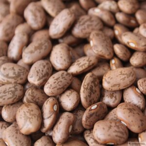 PINTO BEANS