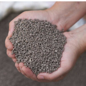 Agriculture Acidifies Soil PH Ammonium Hydrogen Phosphate (DAP)