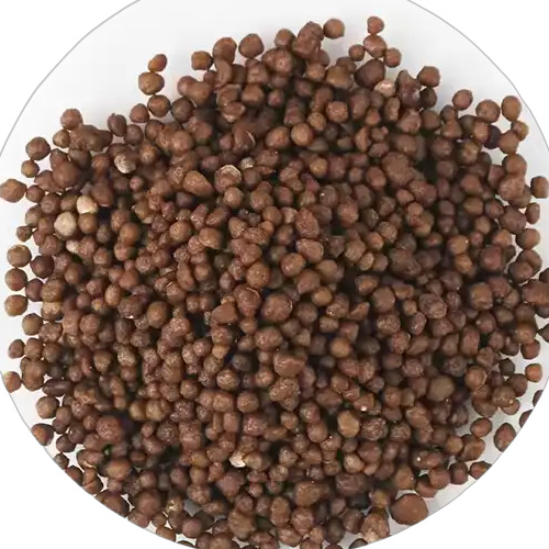 Basal Application Di-Ammonium Phosphate For Tomatoes