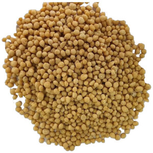 During Planting Diammonium Hydrogen Phosphate (DAP) Starter Fertilizer