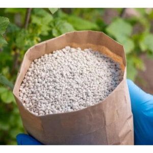 For Wide Range Of Crops Diammonium Phosphate