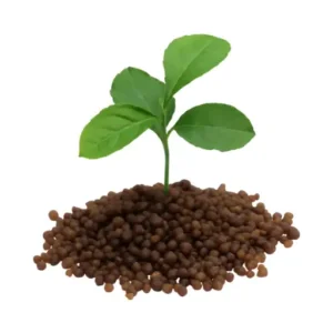 Maximize Uptake Di-Ammonium Phosphate Into Soil