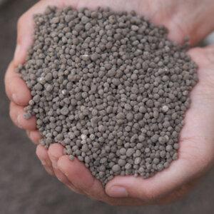 Nutrient Of Phosphorus Ammonium Phosphate Dibasic (DAP) Fertilizer