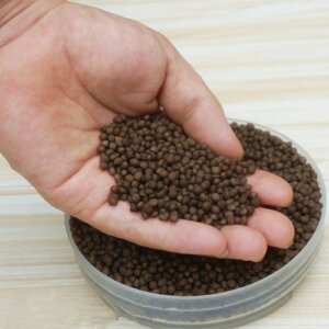 Planting Or Sowing Time Apply Diammonium Phosphate Fertilizer