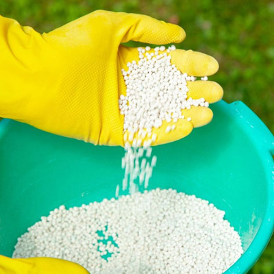 Production Of Chlorophyll - Sodium Nitrite For Flowers & Plants